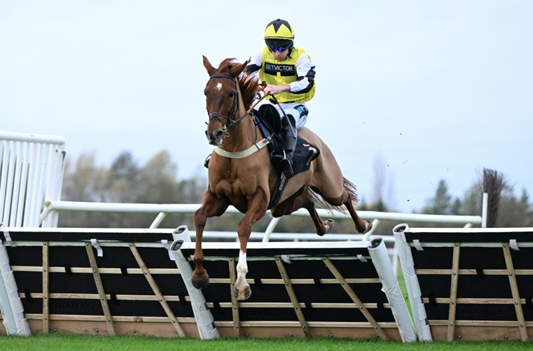 Huntingdon Racecourse seven-race preview with runners preparing on Saturday afternoon.