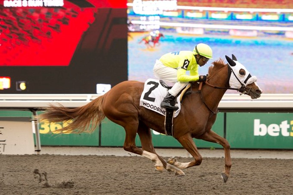 Woodbine Racetrack live action at the all-weather track, November 22, 2025