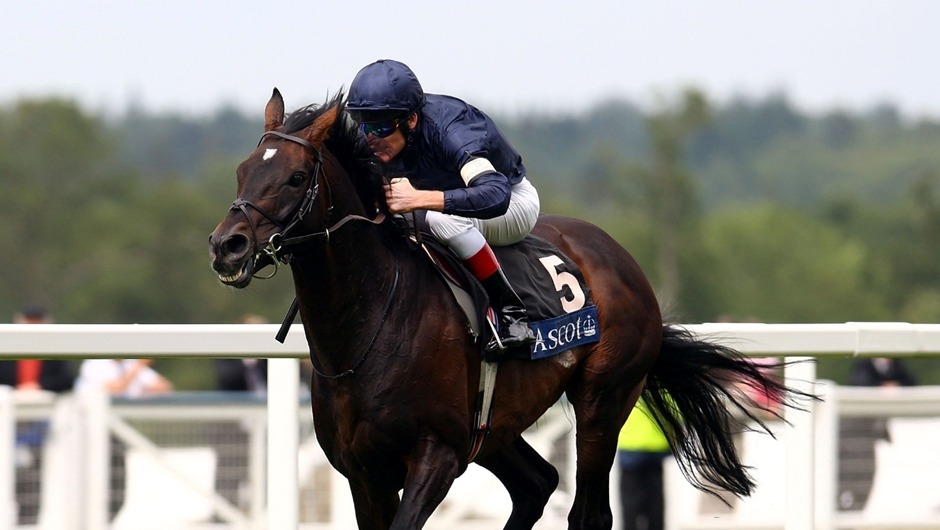 Ascot Racecourse 22nd November Winter Meeting preview and feature race highlights