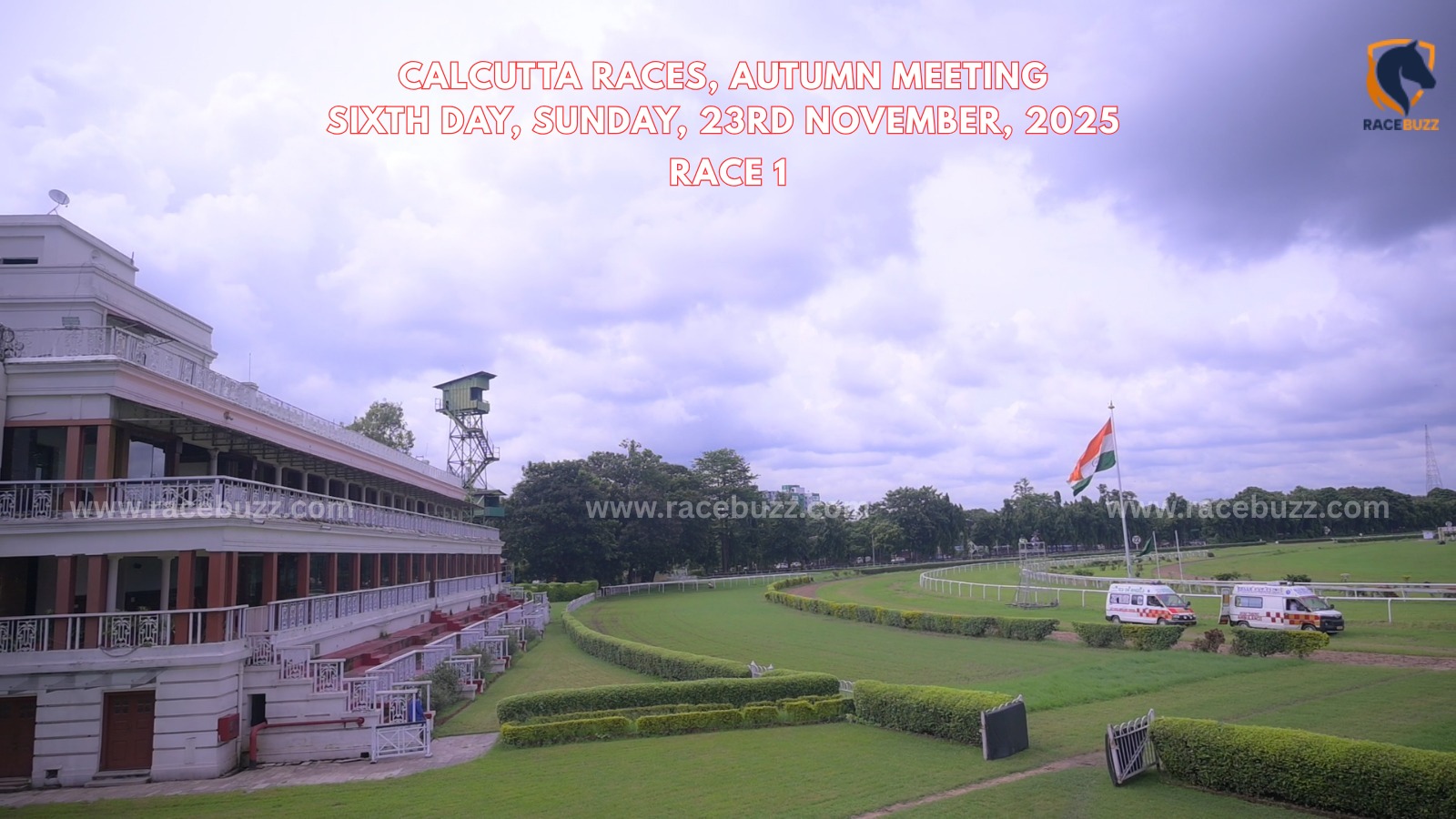 Lineupandcollect winning The Bergamo Handicap – Calcutta race result November 23