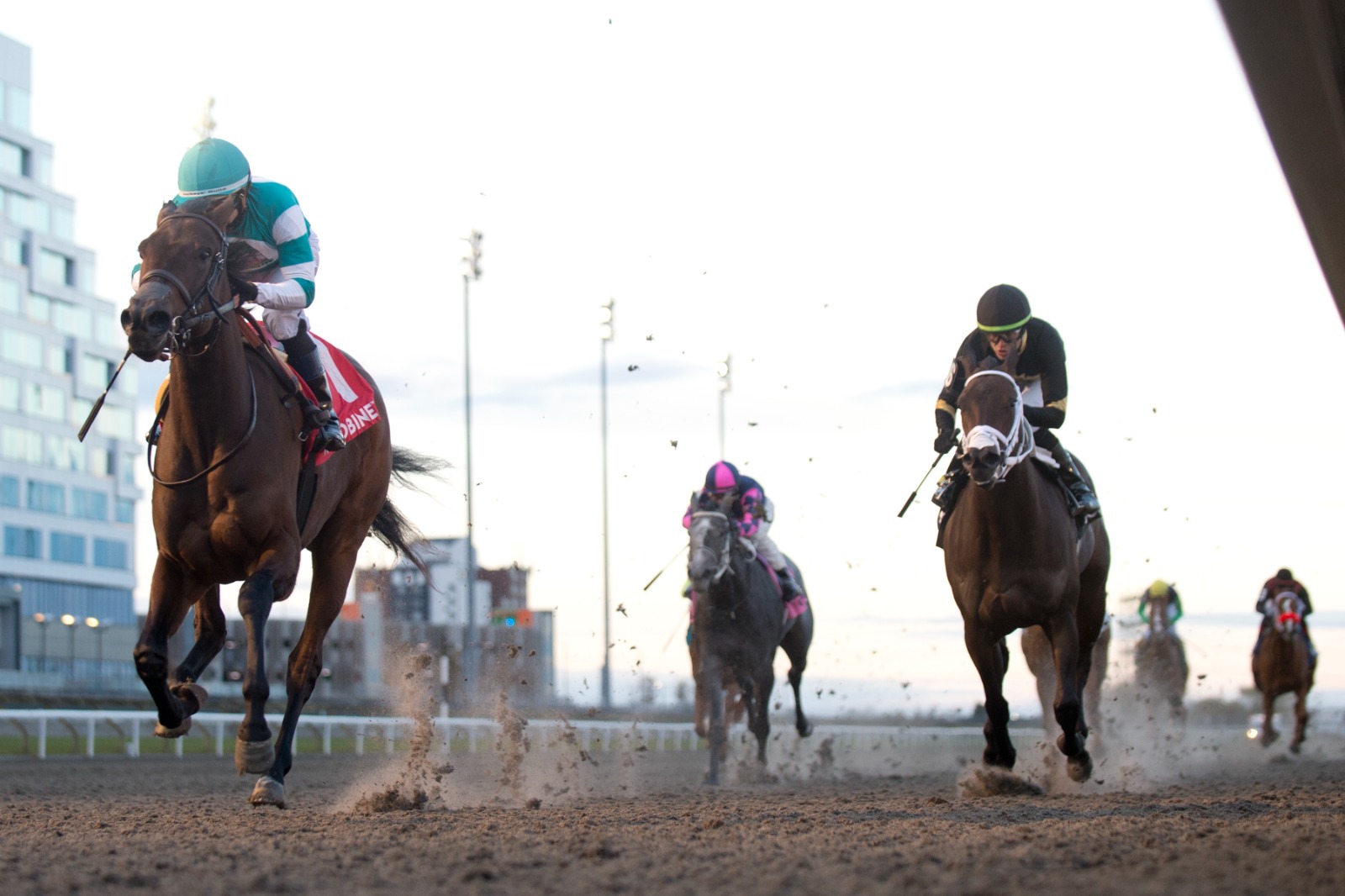 Bossy Candy winning the Shady Well Stakes at Woodbine