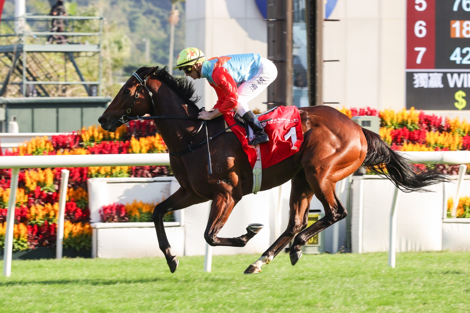 Ka Ying Rising wins 15th consecutive race at Sha Tin – 23 November 2025