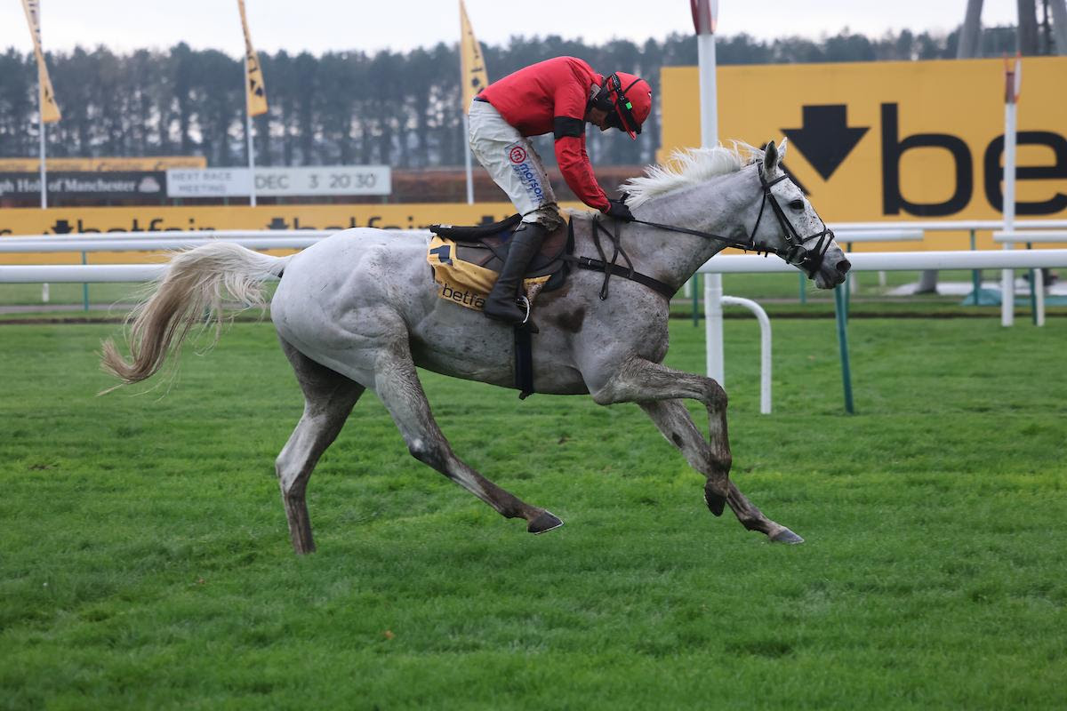 Grey Dawning winning at Haydock ahead of Royale Pagaille