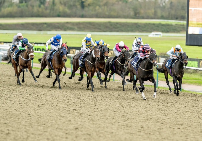Horses preparing at Lingfield Park before the 27 November races