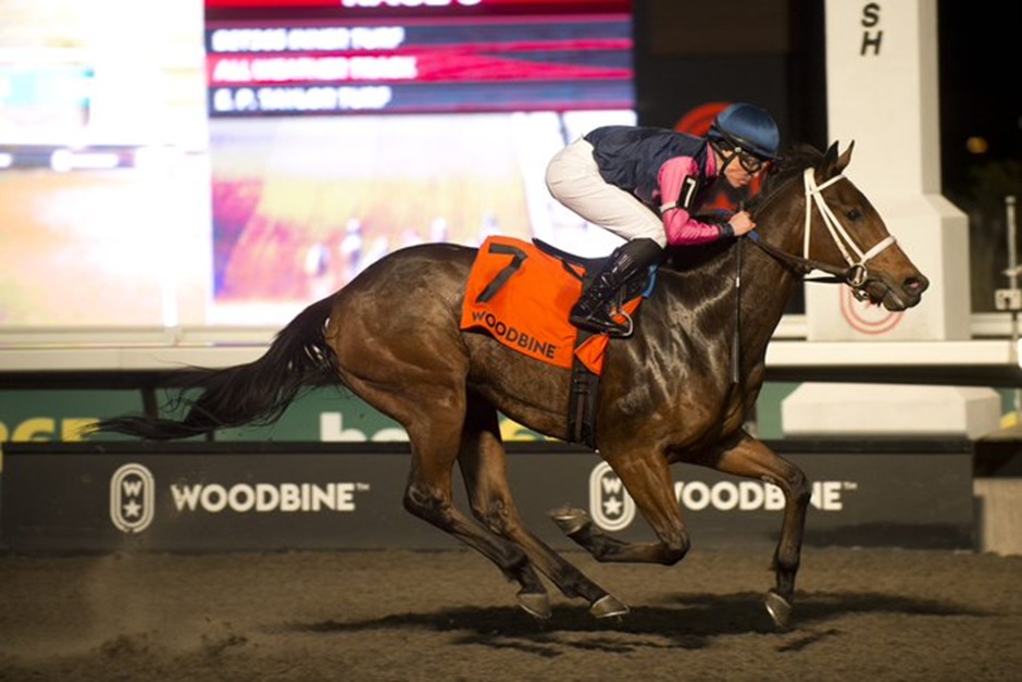 Horses racing under lights at Woodbine Racetrack on November 27