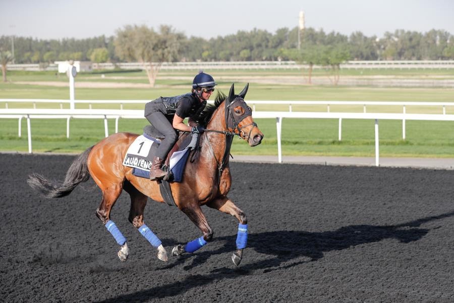 G1 winner Audience among leading nominations for Dubai Racing Carnival