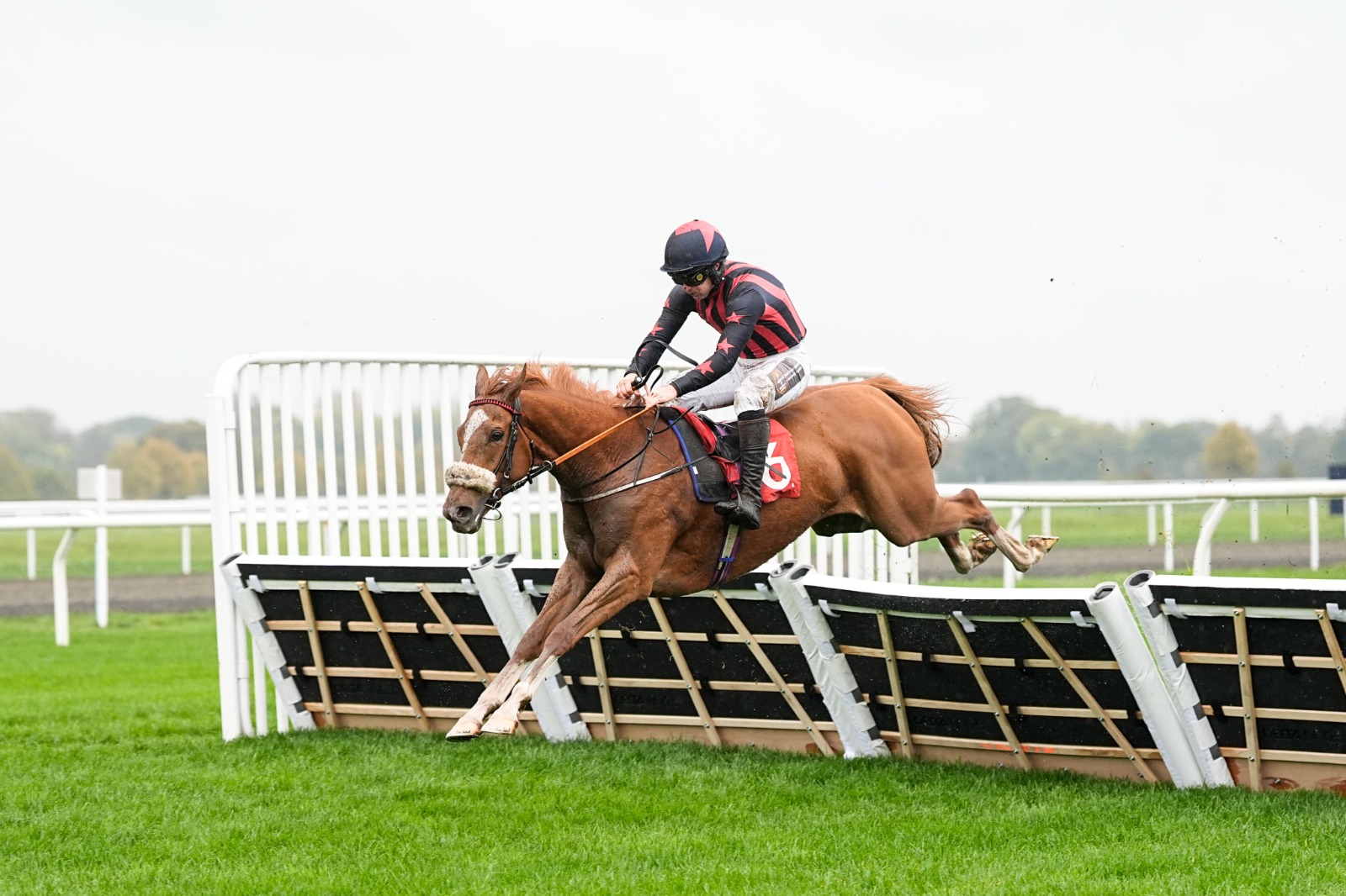 Gaelic Warrior preparing for the King George VI Chase at Kempton Park