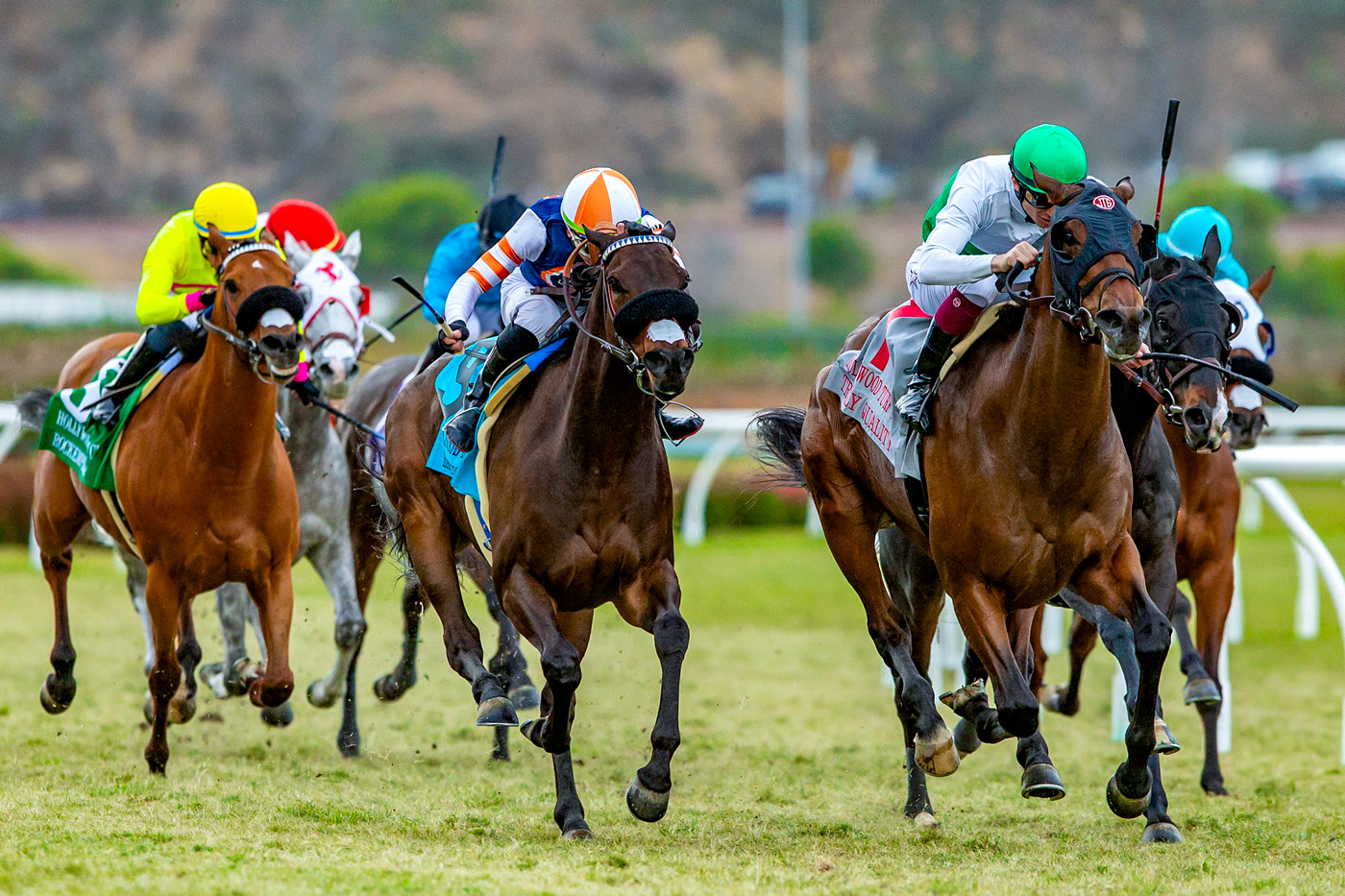 Horses and riders prepare for the FanDuel Racing Fall Turf Festival 2025 at Del Mar Racecourse