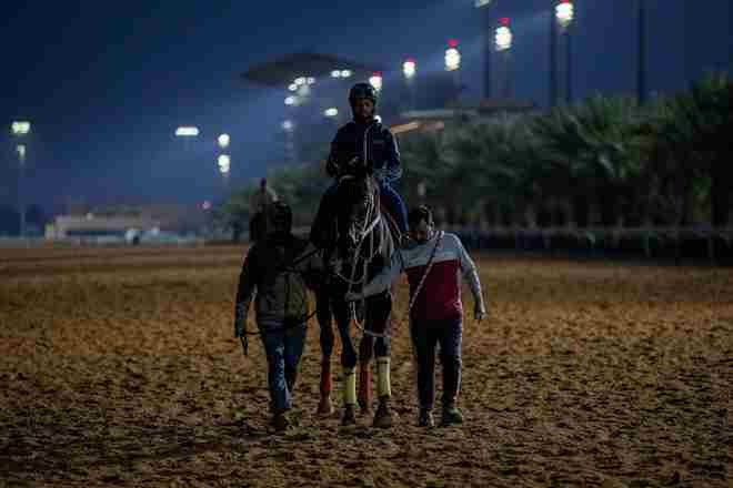 Wait To Excel at King Abdulaziz Racecourse ahead of seasonal return