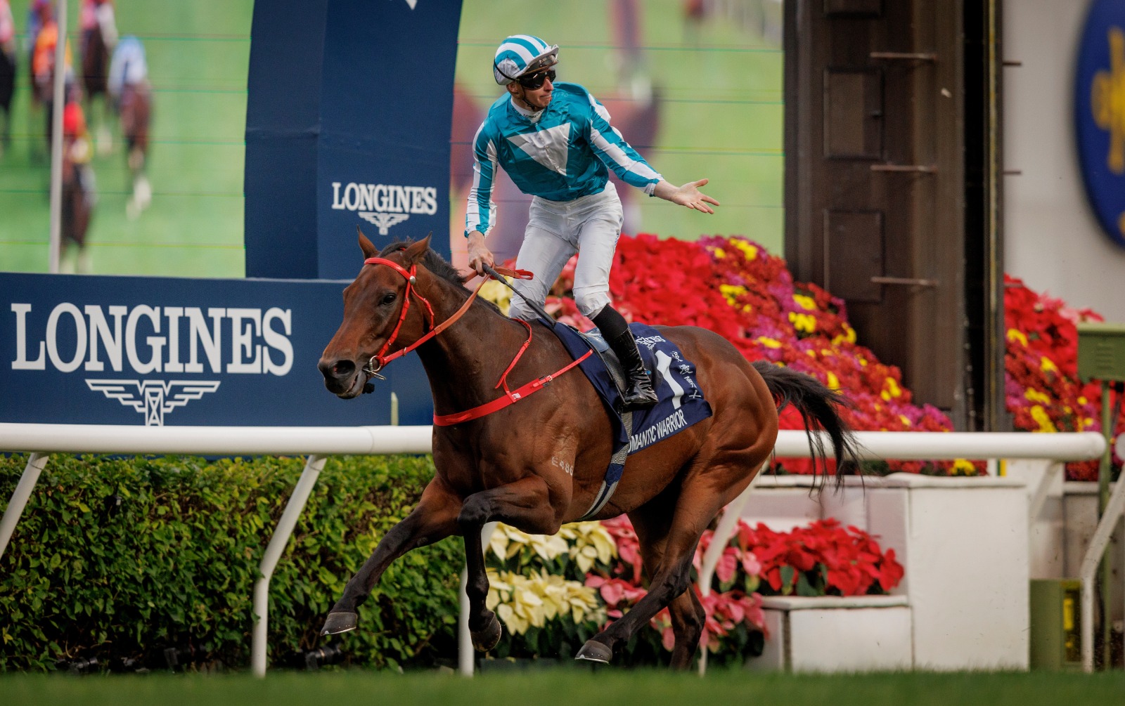 Romantic Warrior, Ka Ying Rising and Voyage Bubble announced for LONGINES Hong Kong International Races 2025