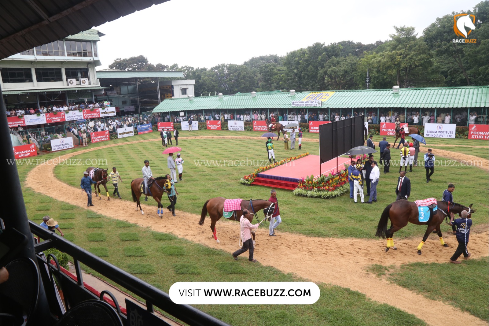 Bangalore Race Cards 28 November – Horses preparing for the race day