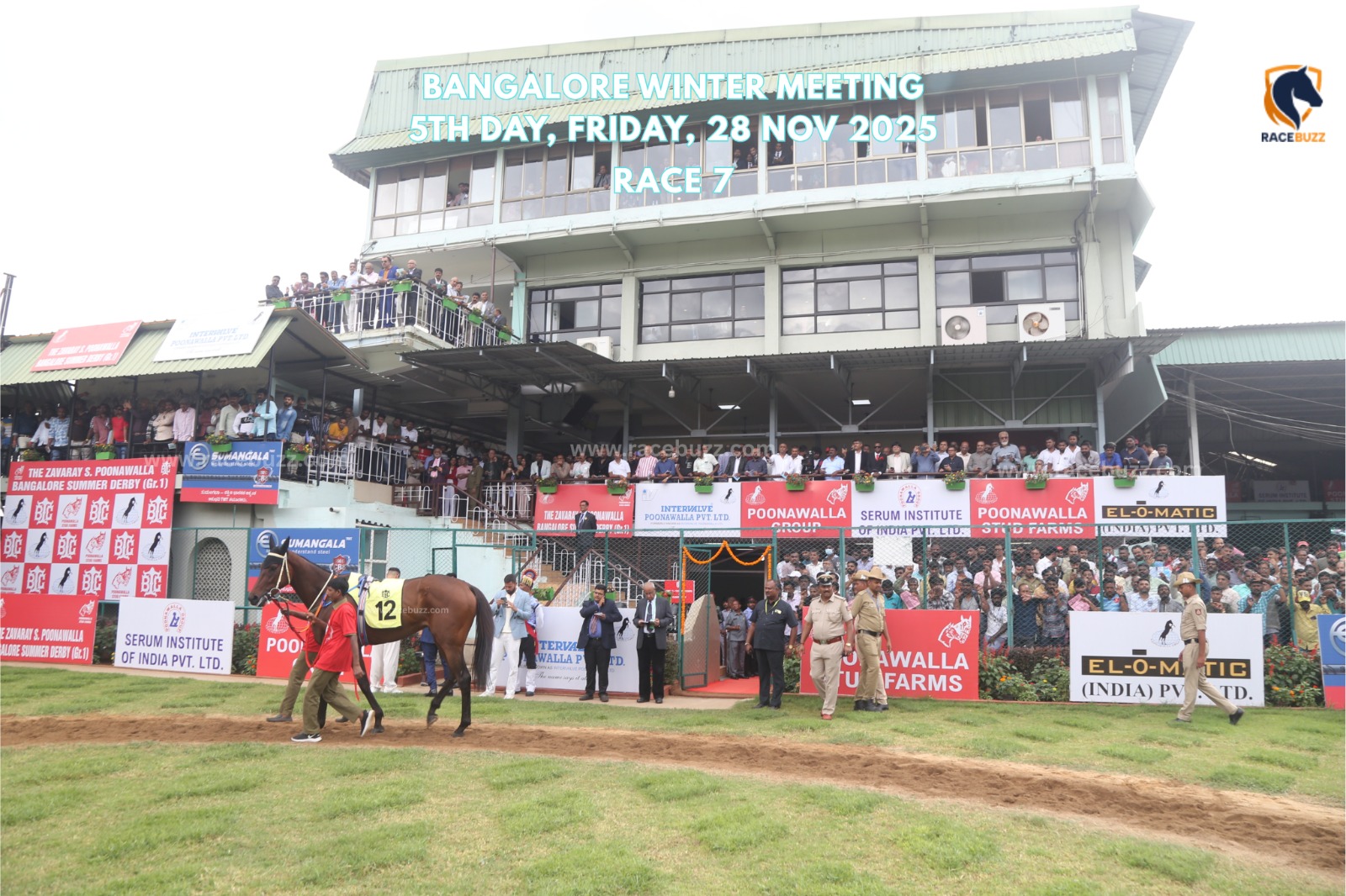 Turkoman winning the Godavari Plate – Bangalore race result 28 november