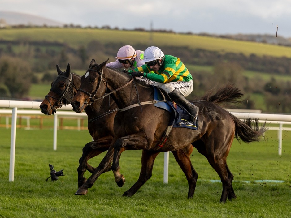 Dundalk Stadium horses racing under winter lights
