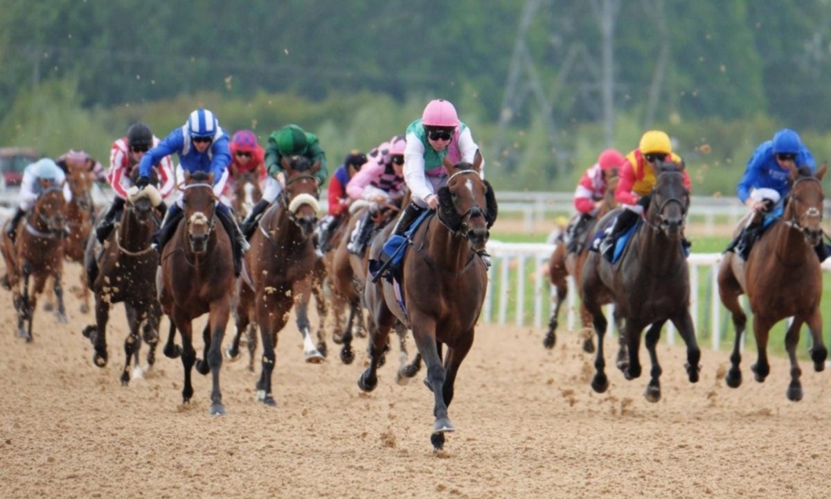 Shader and Dubai Honour clash during pre-race preparations at Southwell