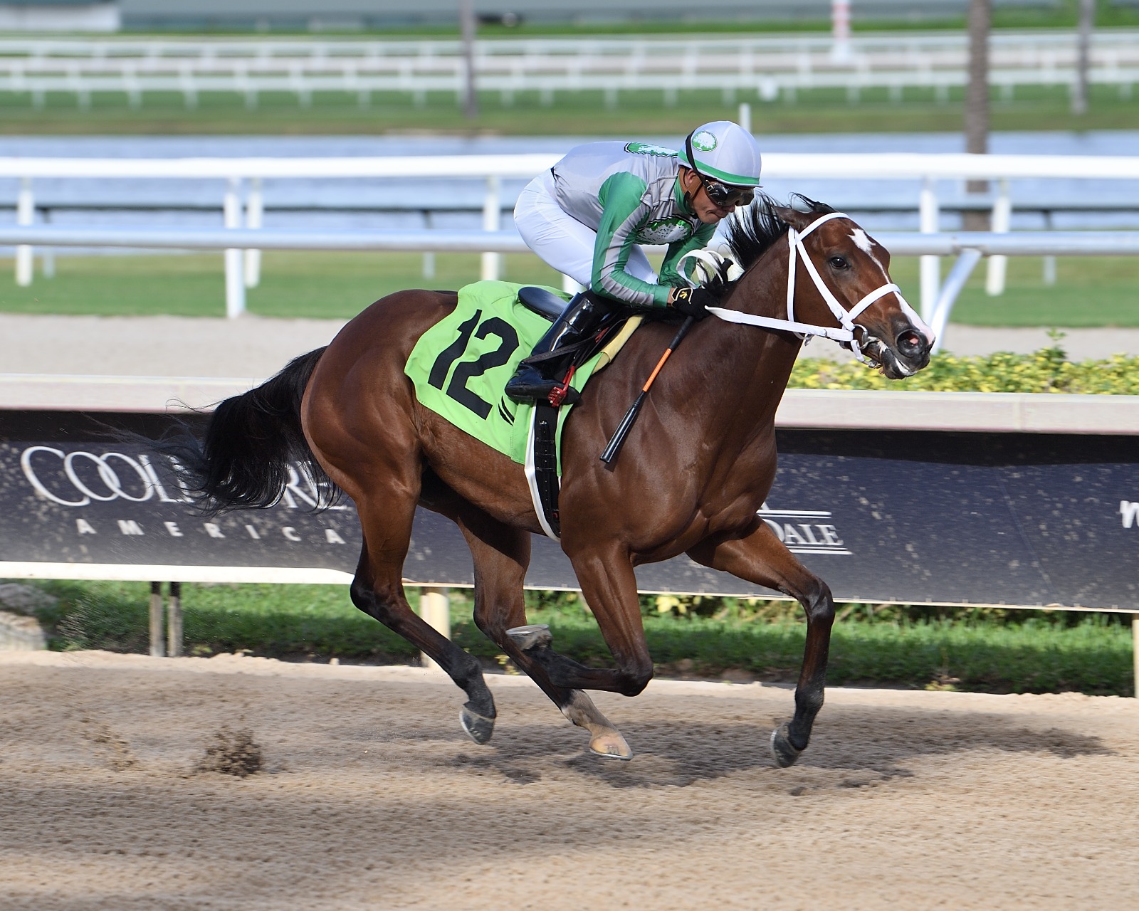 Mythical tries two turns in My Dear Girl at Gulfstream Park