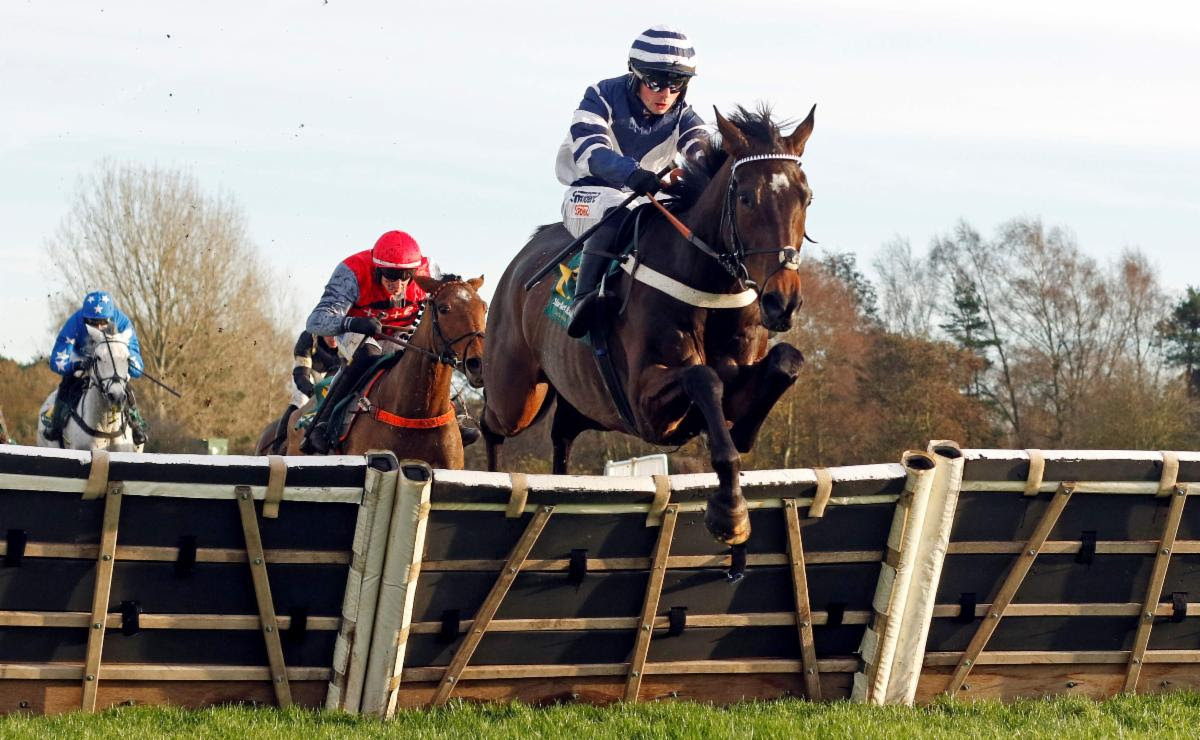 Paggane winning the Pertemps Network Listed Mares’ Chase at Market Rasen