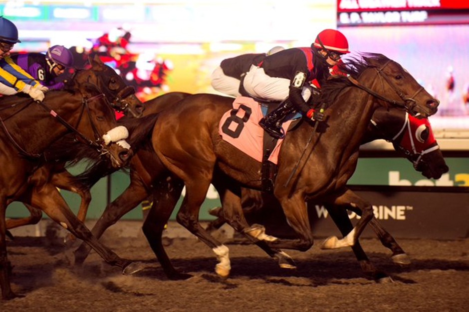Woodbine Racetrack horses in action on the All-Weather Track