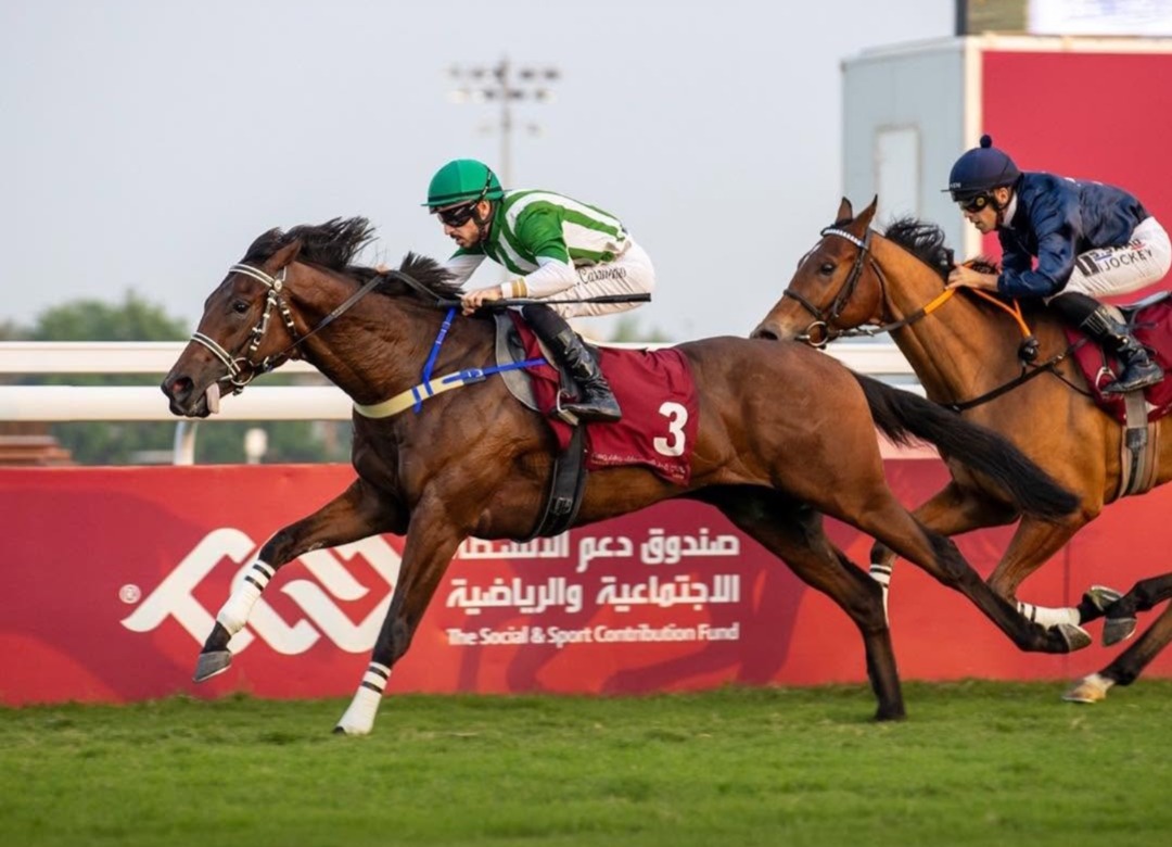 Qatar race cards 29 November featuring Lekhraib Cup at QREC