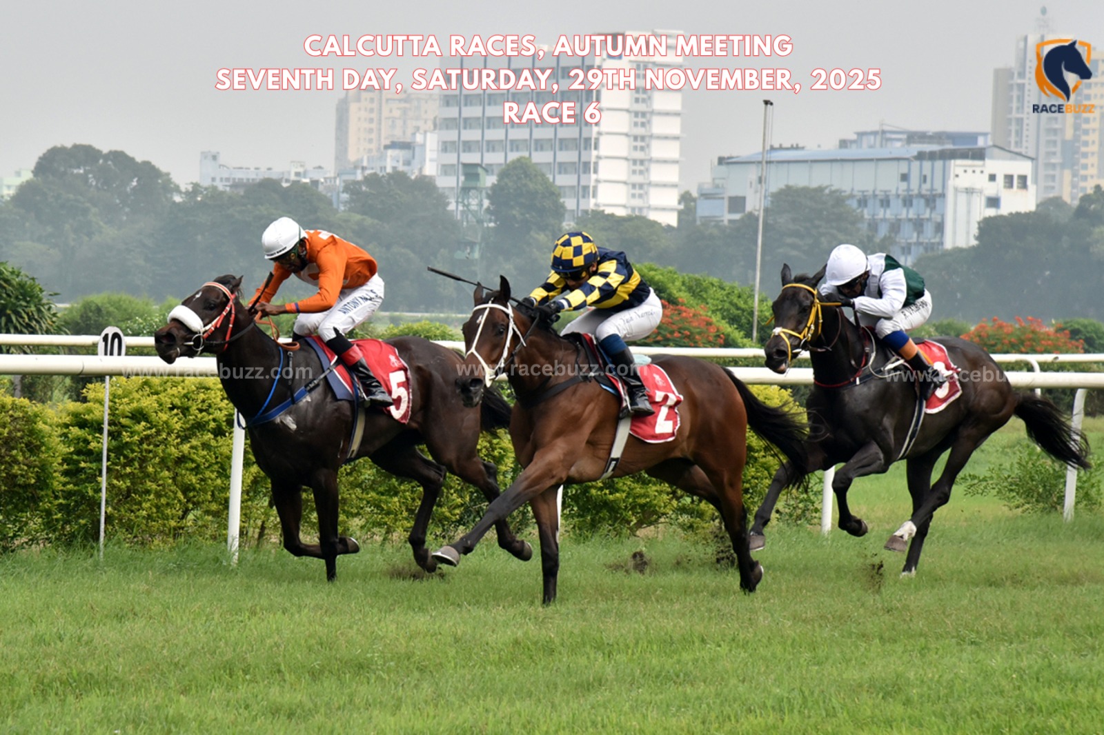 Salome winning The Safari Handicap – Calcutta race result 29 November