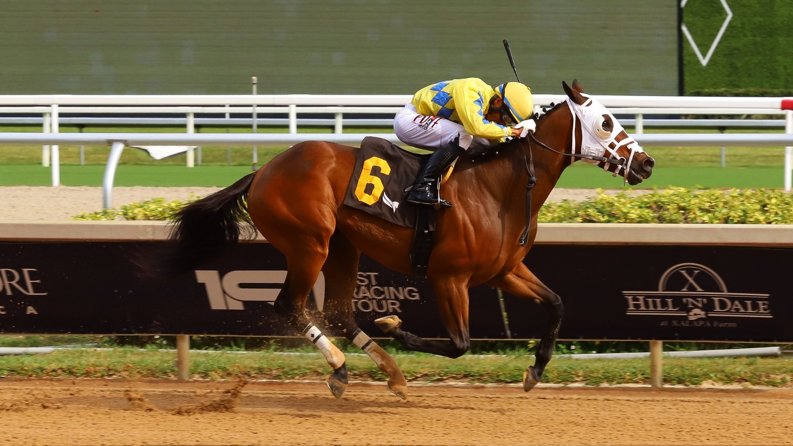 Alt Text: Horses compete during the Turf & FTBOA Sire Stakes at Gulfstream Championship Meet Opening Week