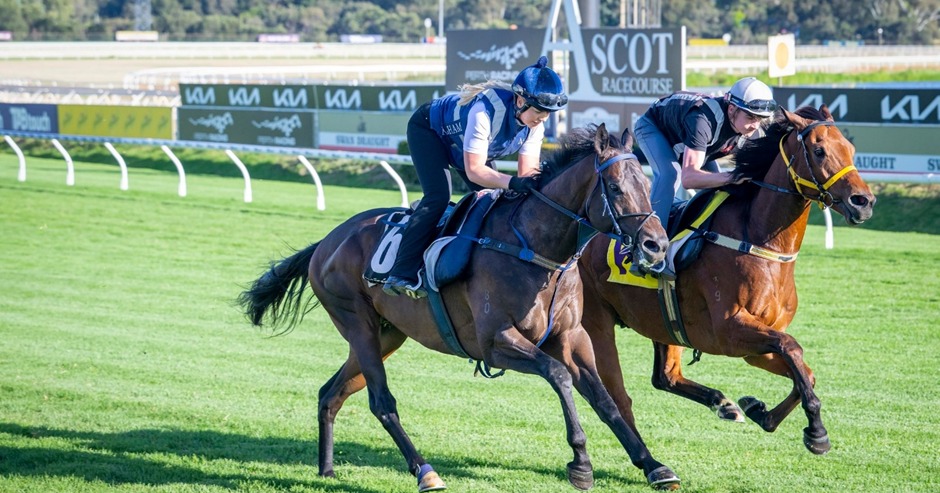 Runners preparing for the Ascot Winterbottom Stakes Day