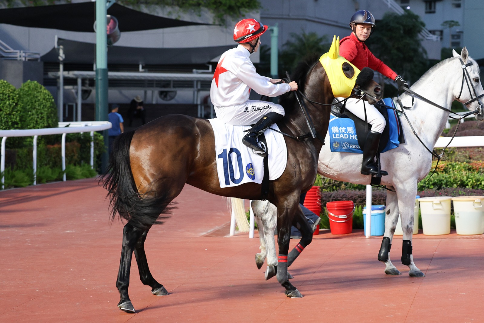 Shanwah during training at Sha Tin ahead of 1600m handicap