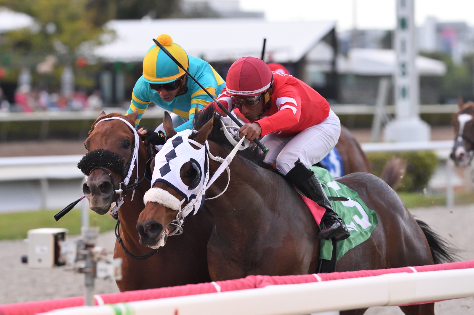 Glorious Boy Pulpit Stakes victory at Gulfstream Park