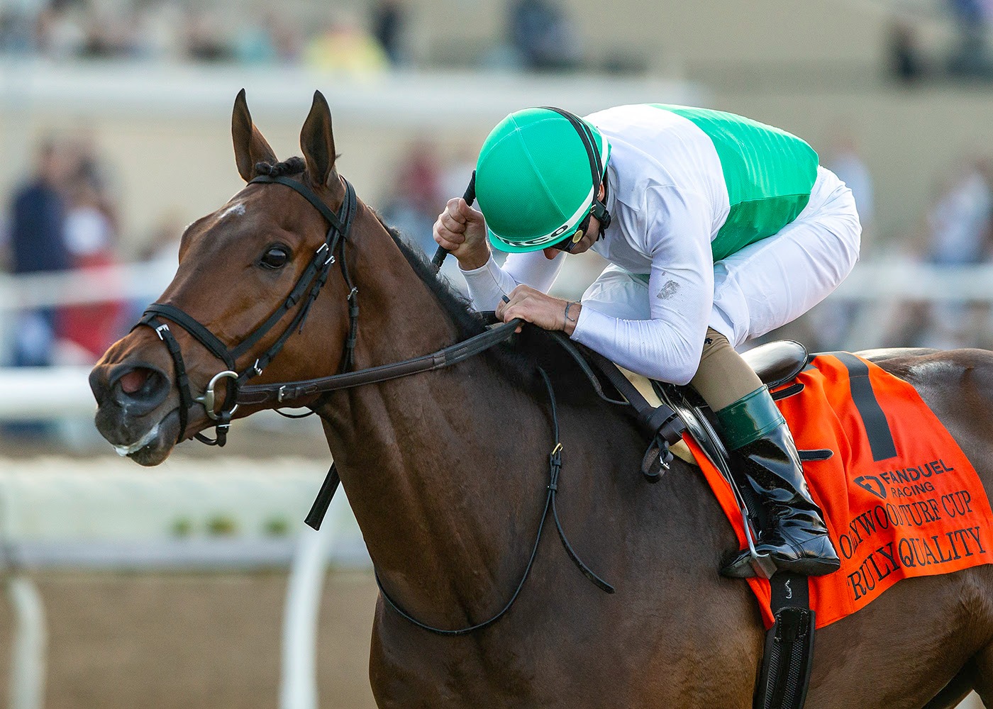 Truly Quality winning the Hollywood Turf Cup under Mirco Demuro