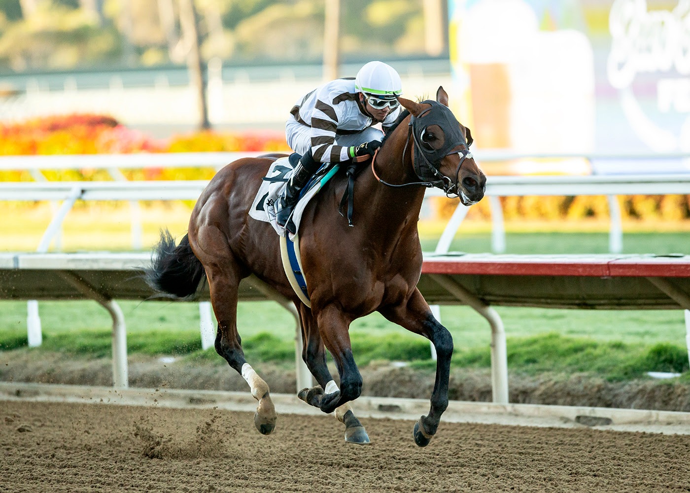 Big City Lights preparing ahead of the Stormy Liberal Stakes at Del Mar