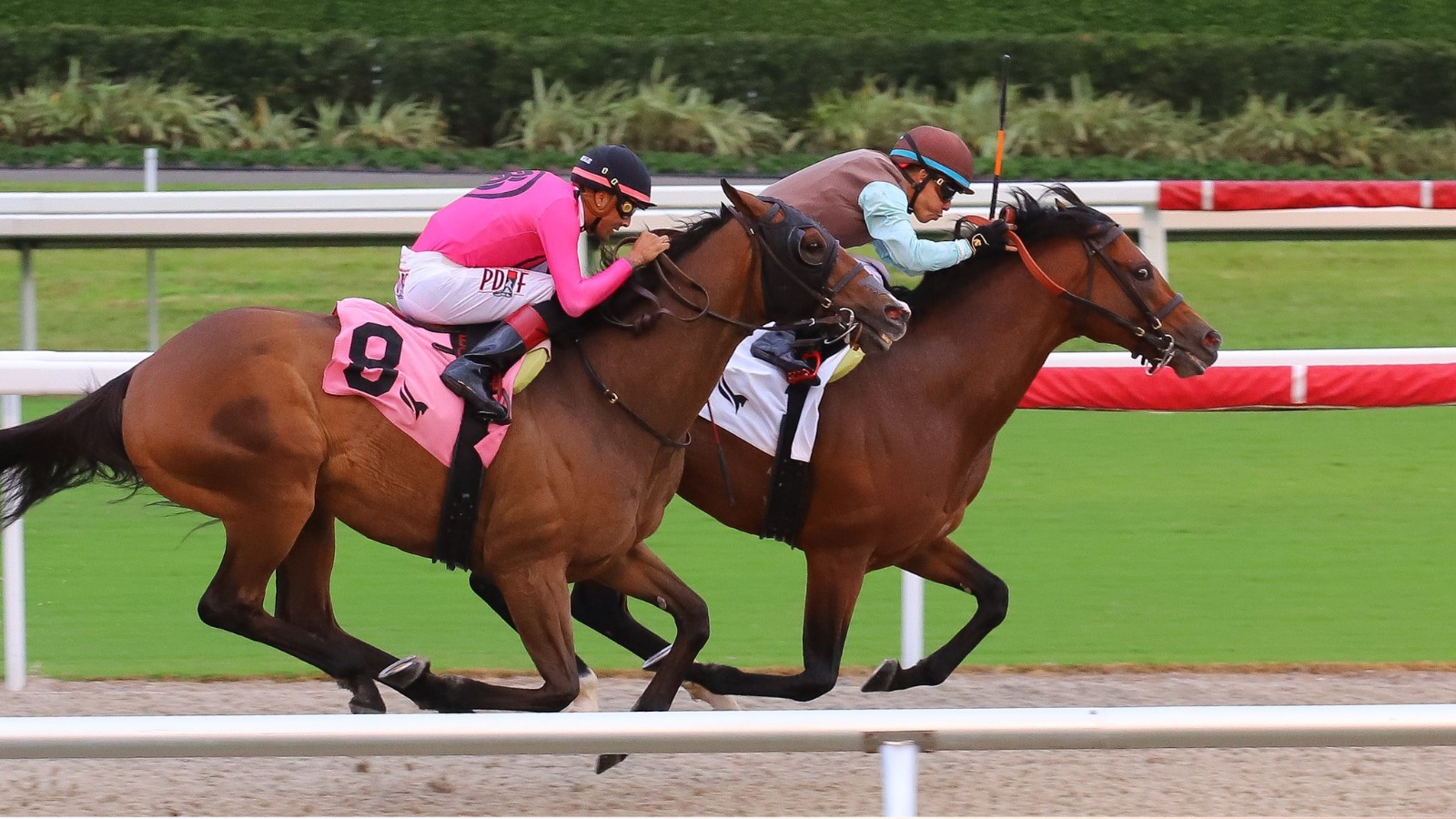 Rainbow 6 Jackpot Pool Mandatory Payout Day at Gulfstream Park