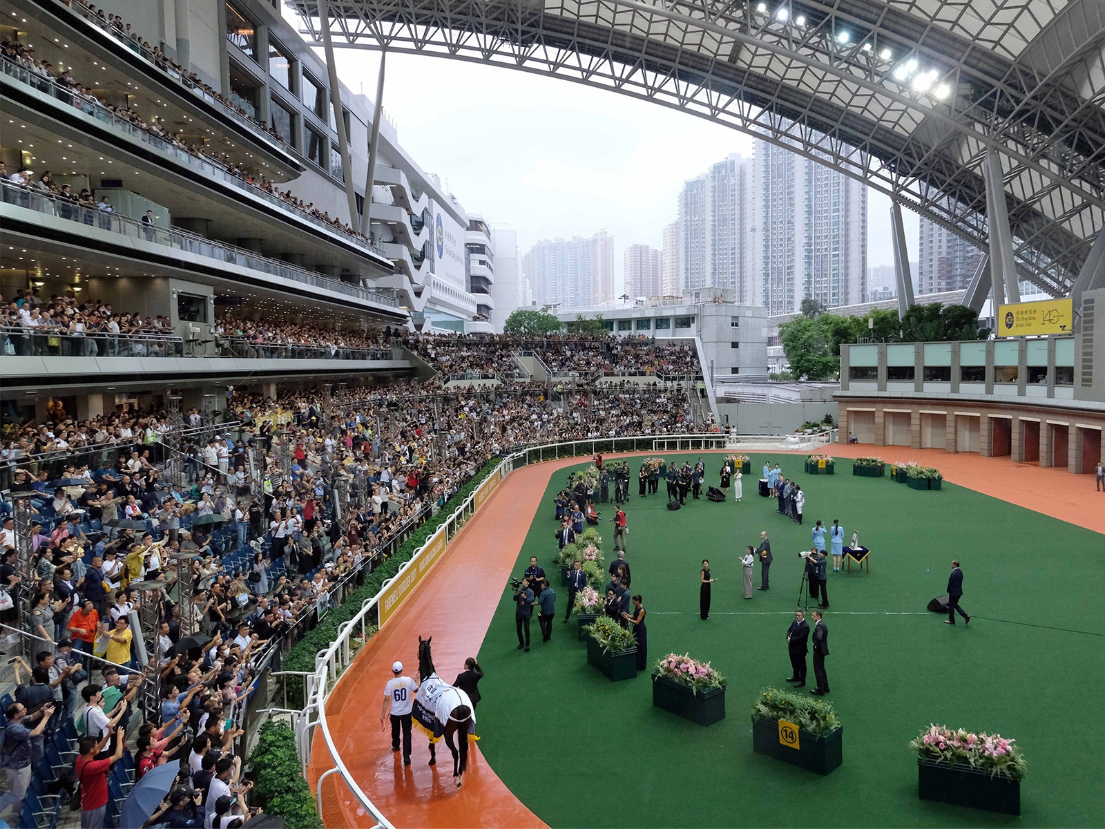 My Wish ahead of the BOCHK Private Wealth Jockey Club Mile