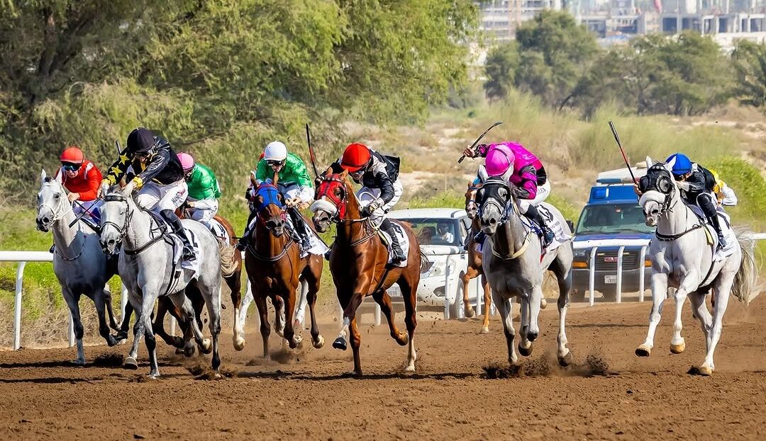Jebel Ali race cards 29 November race day preview at Jebel Ali Racecourse