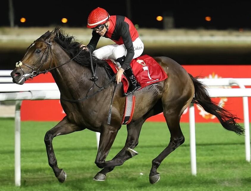 Bahrain Turf Club race day action 21 November 2025