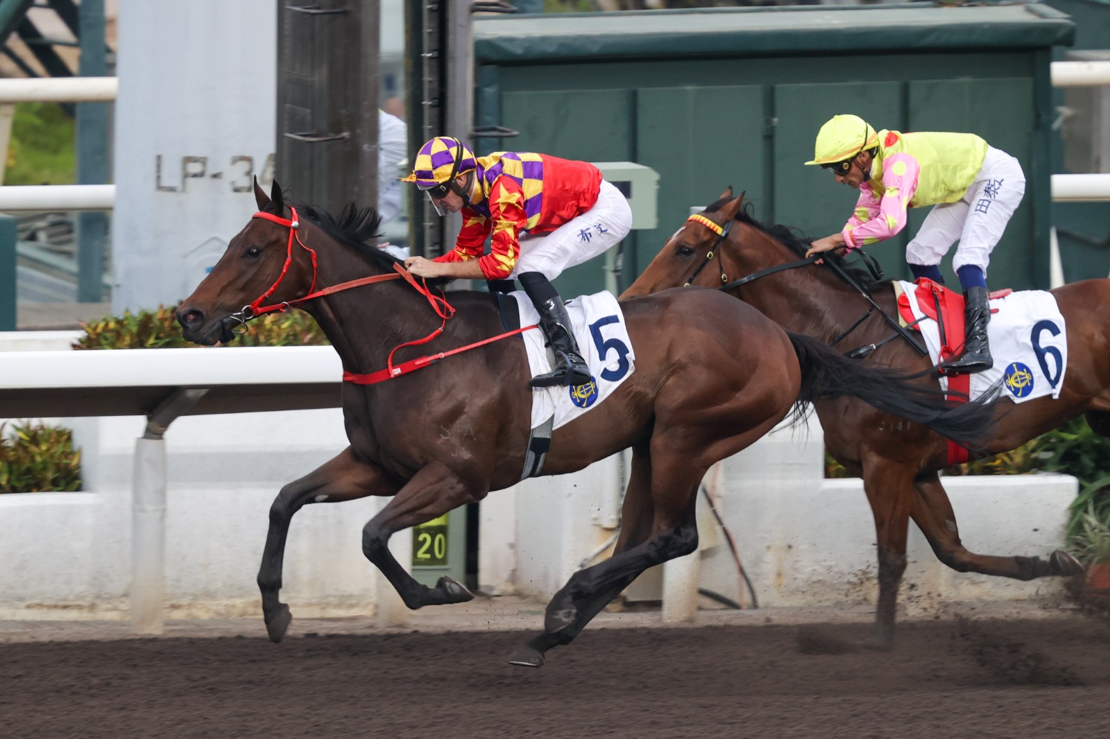 Danny Shum celebrates Sha Tin victory ahead of LONGINES Hong Kong Cup