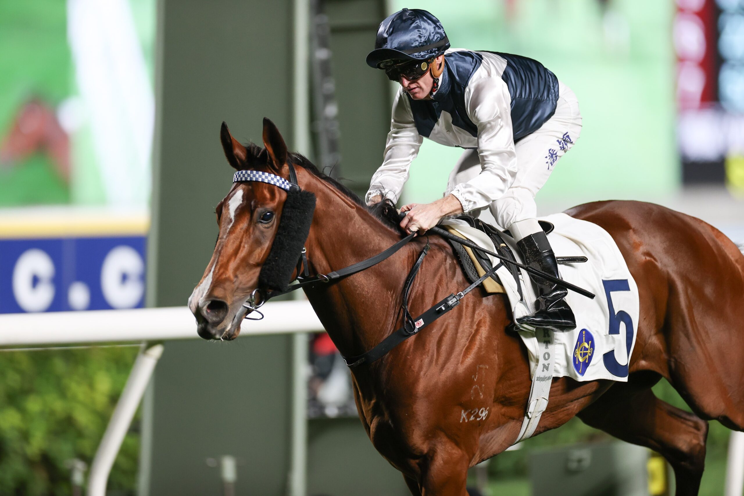 Invincible Ibis winning at Sha Tin under Zac Purton