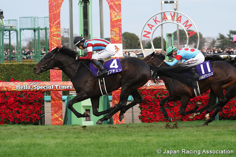 Museum Mile Arima Kinen 2025: Late Surge Secures Historic Nakayama