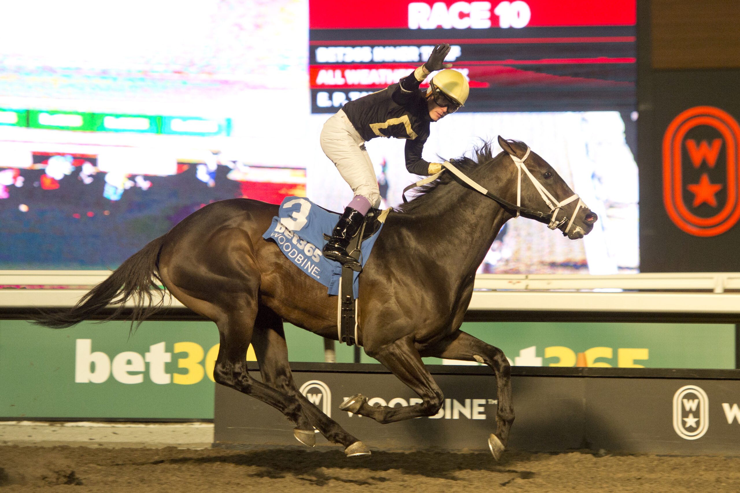 Hammerhead winning the Valedictory Stakes 2025 at Woodbine