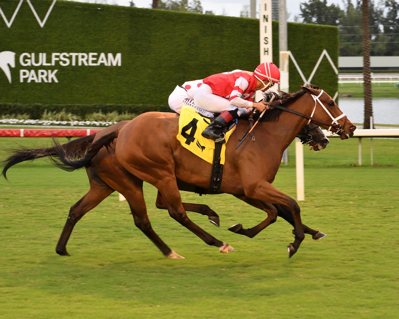 Gulfstream Park race result 14 December featuring Destino d’Oro winning Tropical Park Oaks