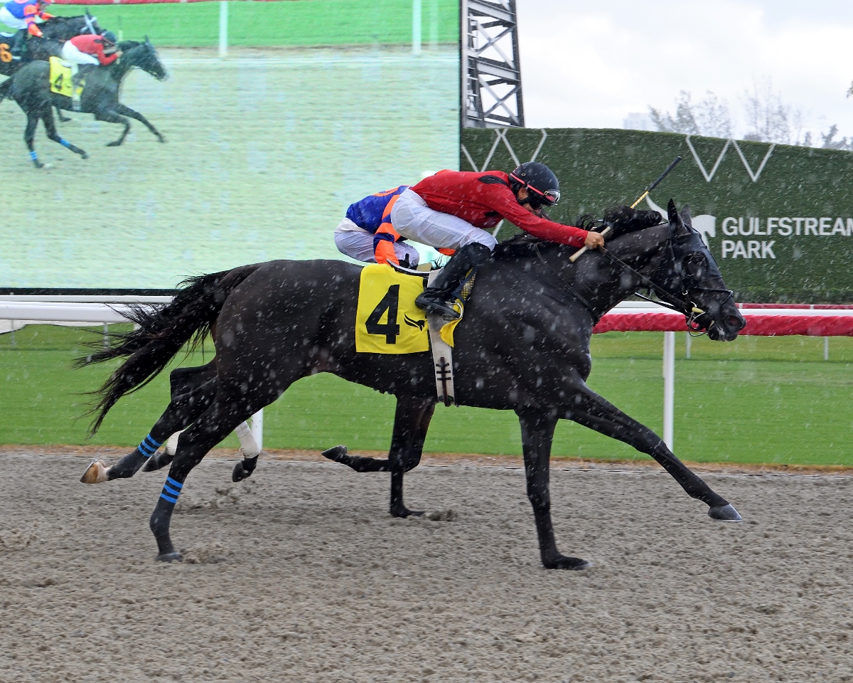 Gulfstream Park Race Cards 6 December – H. Allen Jerkens Handicap runners