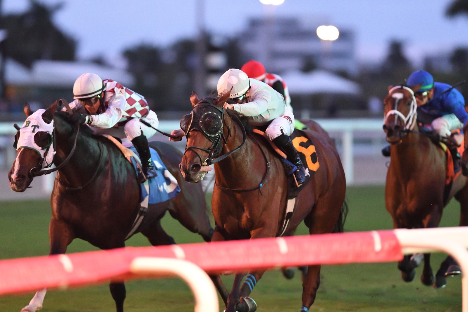 Fort Lauderdale Stakes Prep as Wolfie’s Dynaghost works on turf at Palm Meadows
