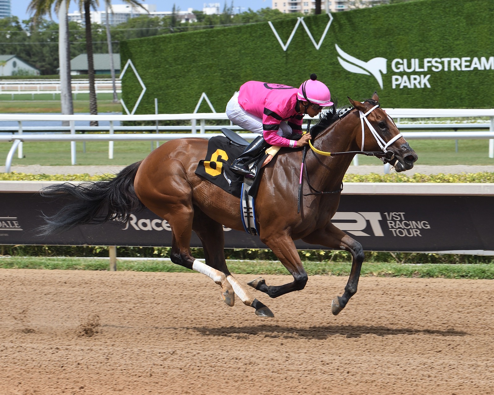 Rampart Stakes contenders featured on Gulfstream Park race cards 26 December
