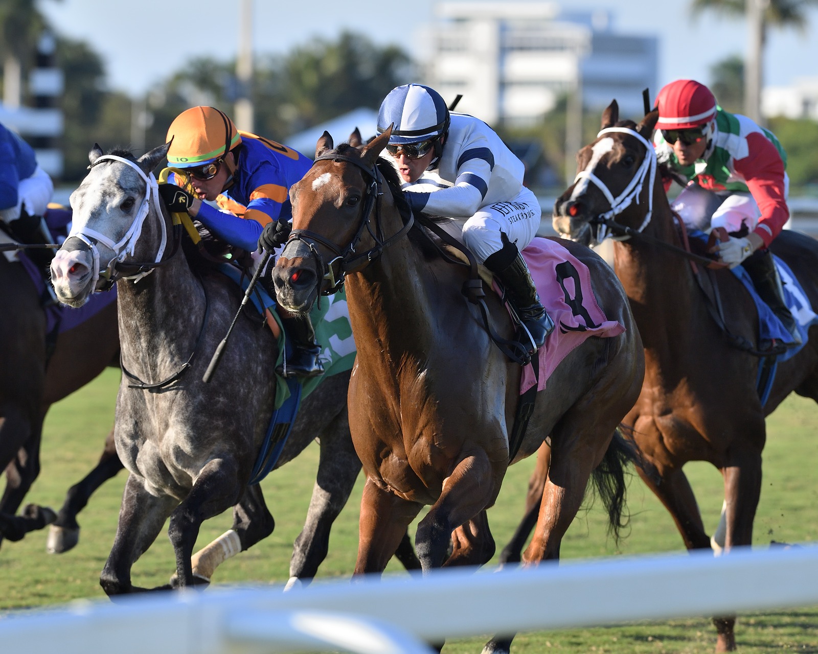 Moon Spun leads rivals in Gulfstream Park race result 27 December