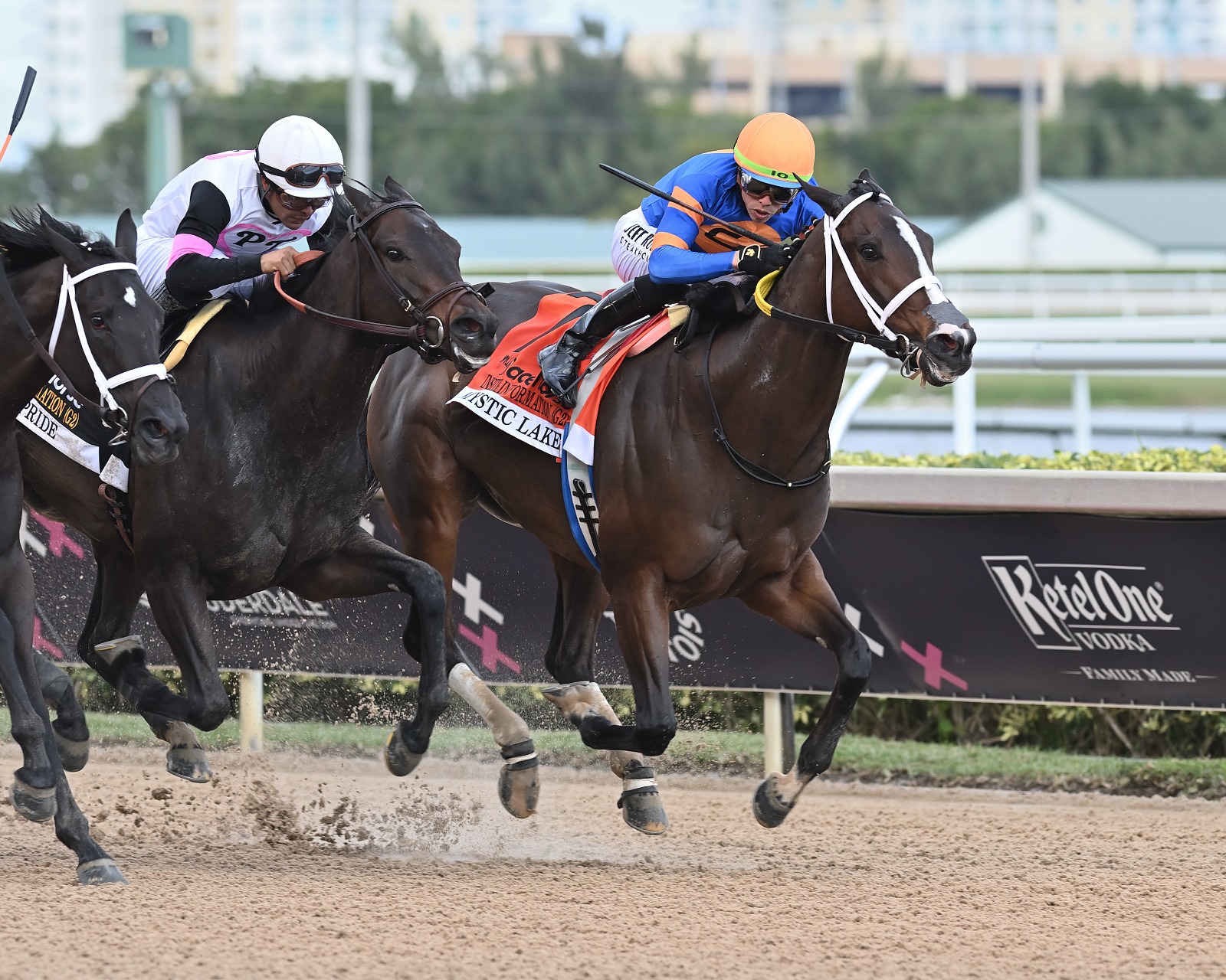 Mystic Lake Sugar Swirl returning to defend her title at Gulfstream Park