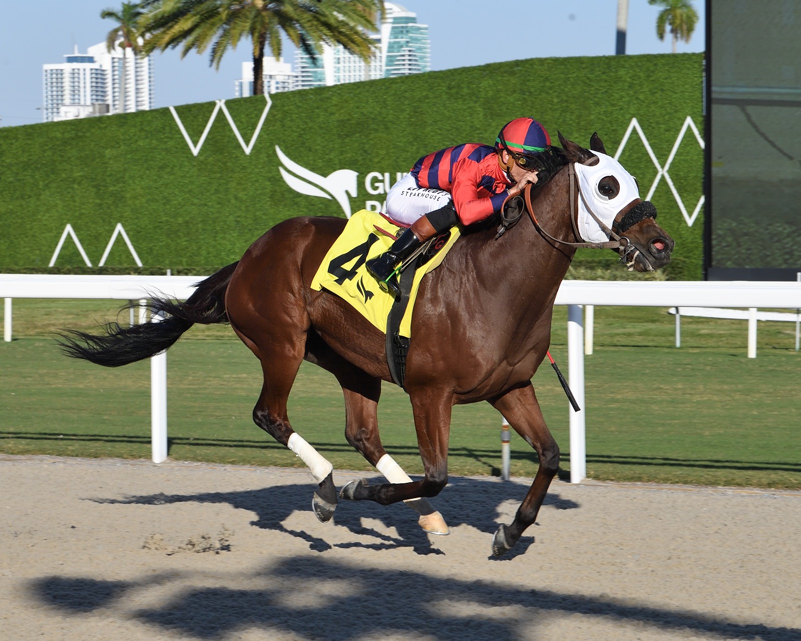 Gulfstream Park race result 27 December as Private Thoughts wins Saint Augustin