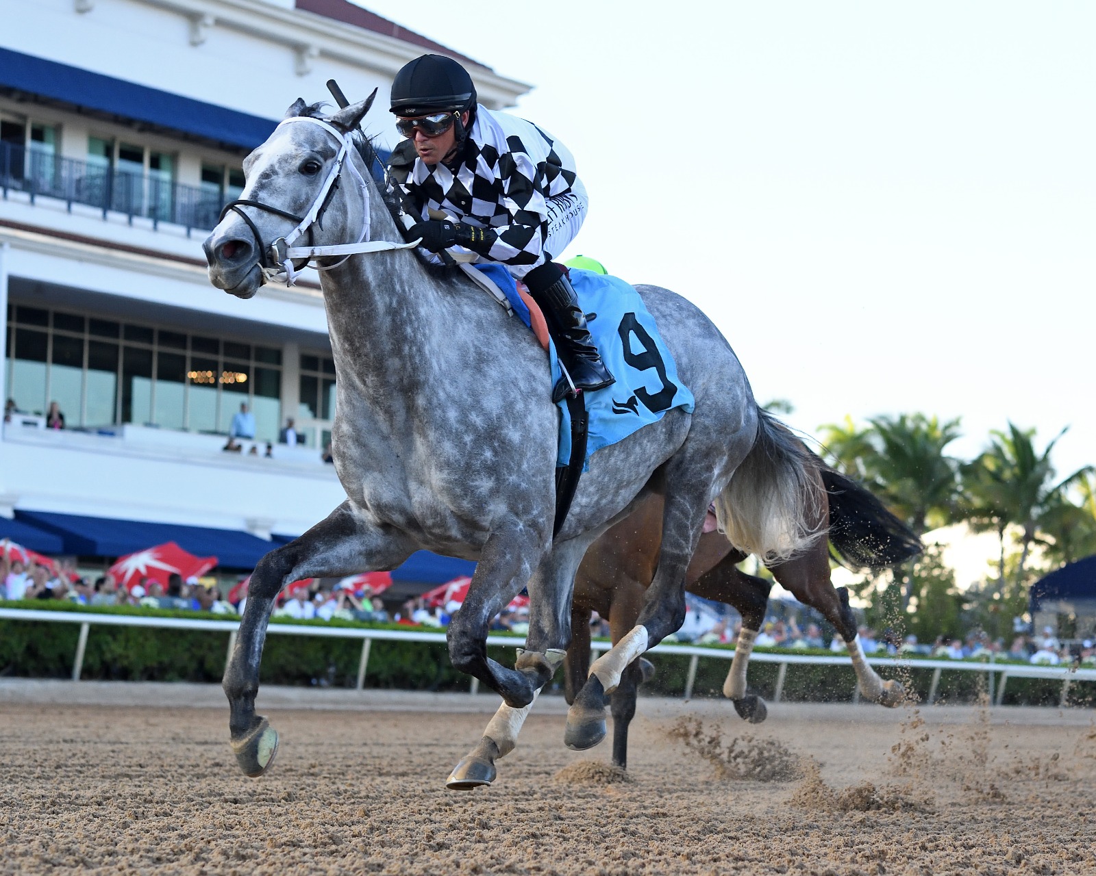 Gulfstream Park race result 26 December as Sterling Silver wins the Rampart Stakes