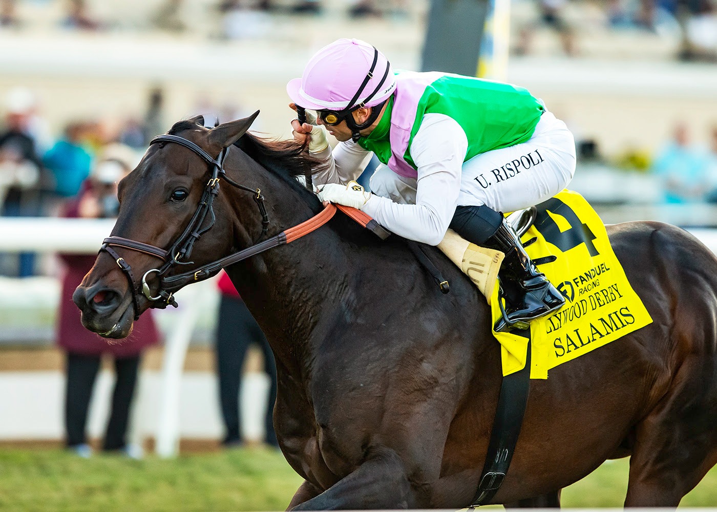 Salamis winning the Hollywood Derby for Chad Brown