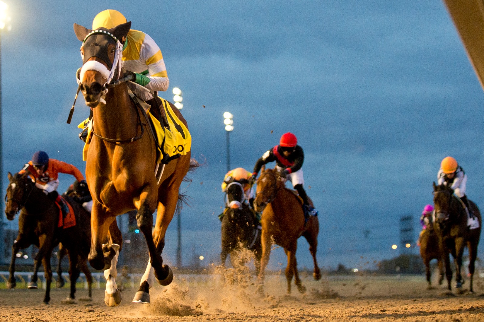 Piper’s Gift winning the Princess Elizabeth Stakes at Woodbine