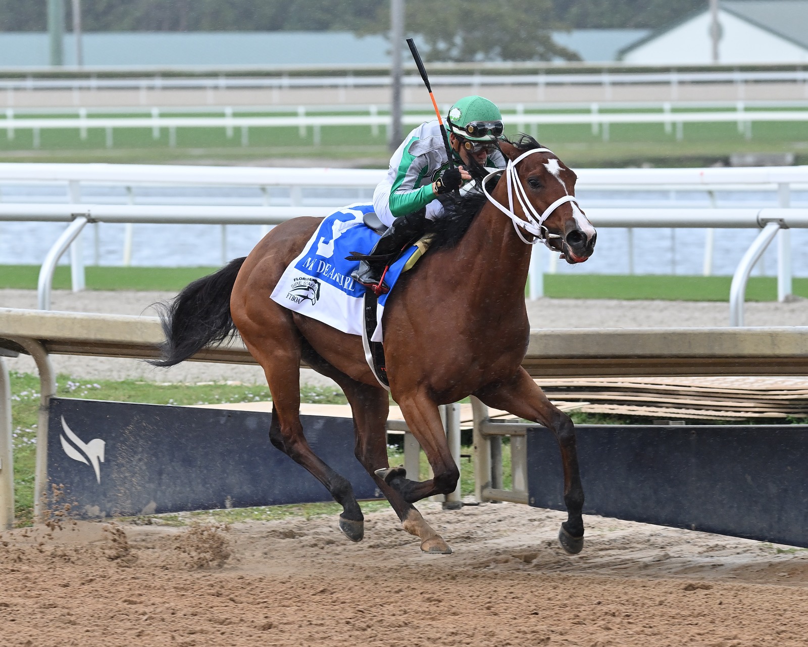 Mythical winning the My Dear Girl Stakes — Mythical surges clear in the stretch to claim her fifth career victory in the Florida Sire Stakes finale.