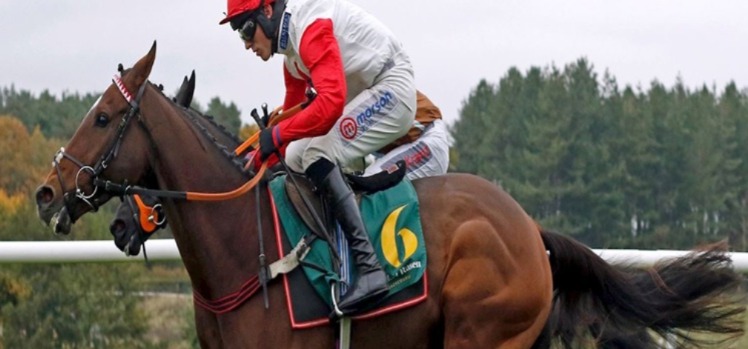 Market Rasen Raceday December 4 – horses in winter sunshine