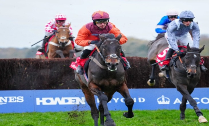 Chelmsford City race cards December 4 – horses in evening light